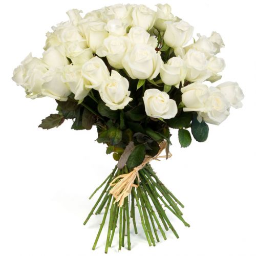 Купить 35 белых роз с доставкой по Кирову